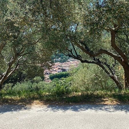 Studio Collobrieres Vue Sur Village Εξωτερικό φωτογραφία