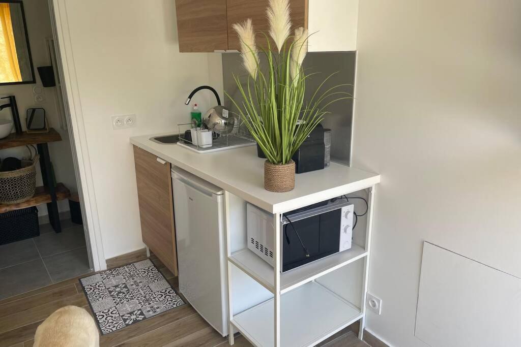 Studio Collobrieres Vue Sur Village Εξωτερικό φωτογραφία