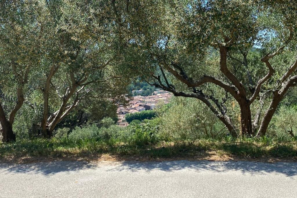 Studio Collobrieres Vue Sur Village Εξωτερικό φωτογραφία